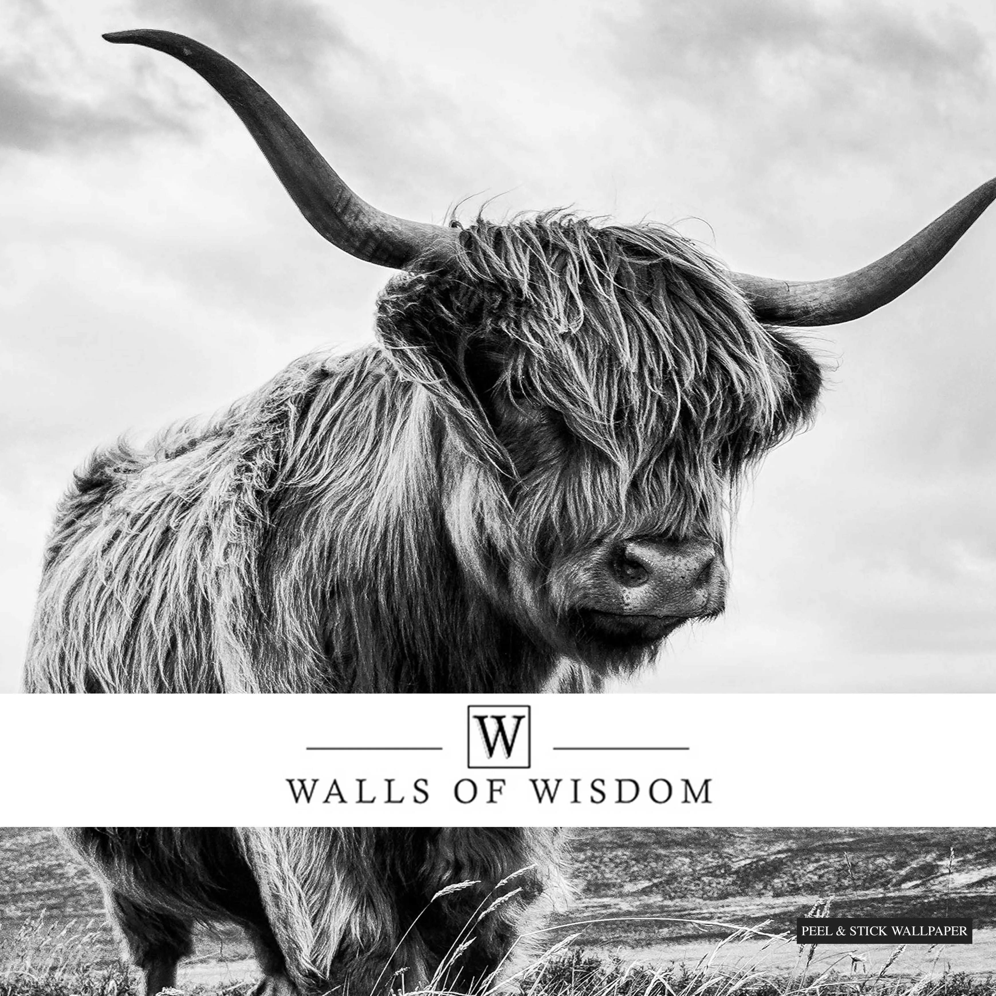 Highland Cow Black and White Wallpaper Mural – Large Western Wall Art